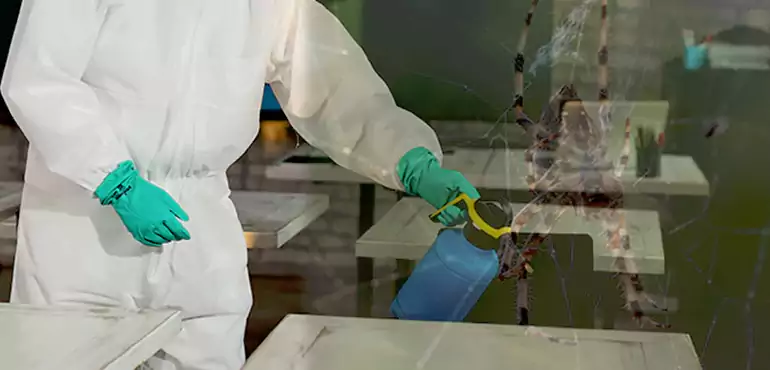 Why Buyers Still Want Homes With Pest Infestations in Memphis, TN?