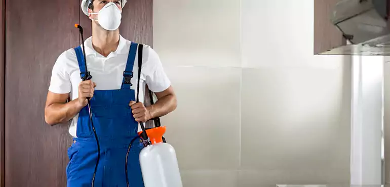 Why Memphis Homeowners Choose Us When Pests Make Selling Difficult